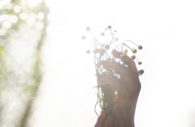 Custom Massage