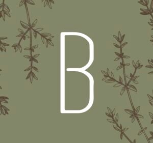 Monograma con la letra B del logotipo de Botica Spa, inspirado en plantas botánicas.